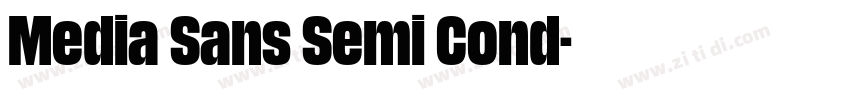 Media Sans Semi Cond字体转换